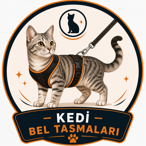 KEDİ BEL TASMALARI