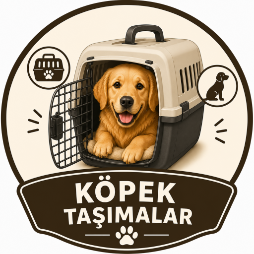 KÖPEK TAŞIMALAR
