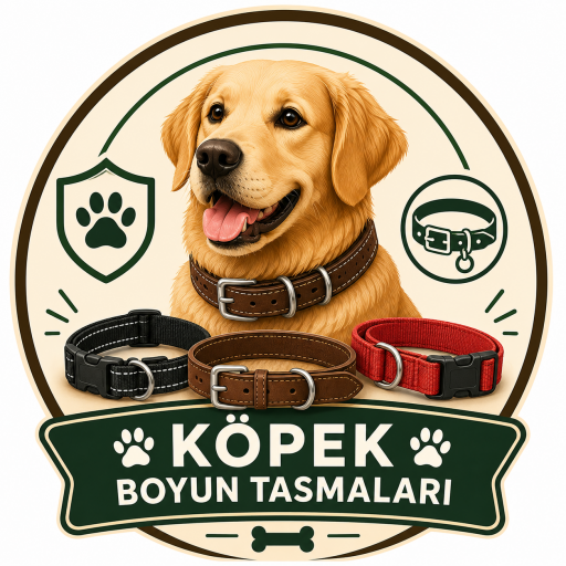 KÖPEK BOYUN TASMALARI