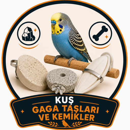 KUŞ GAGA TAŞLARI VE KEMİKLER