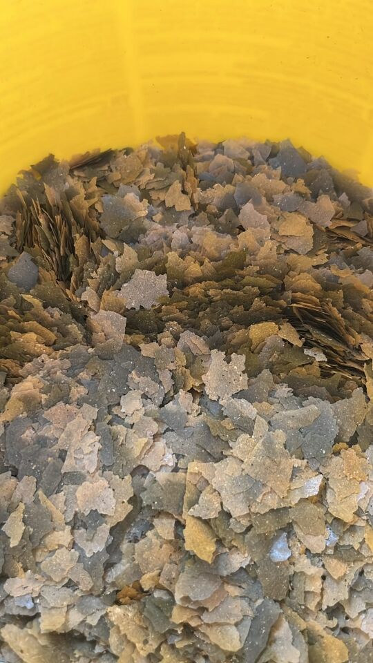 Sera San Nature 50 gr Brüt Açık