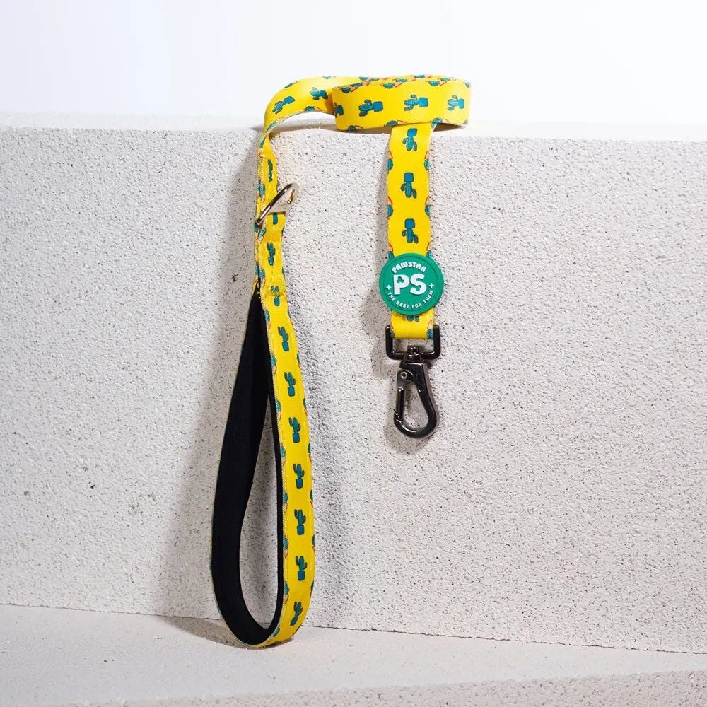 PAWSTAR KAKTÜS DESENLİ GEZDİRME KAYIŞI