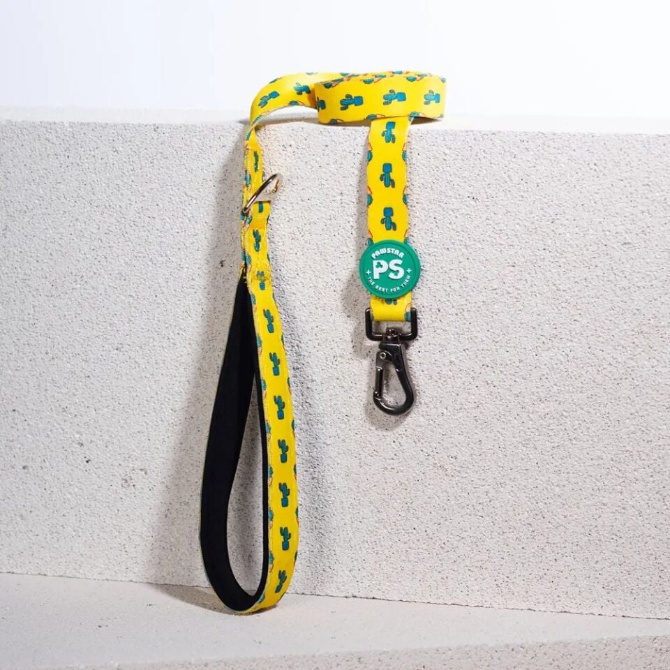 PAWSTAR KAKTÜS DESENLİ GEZDİRME KAYIŞI