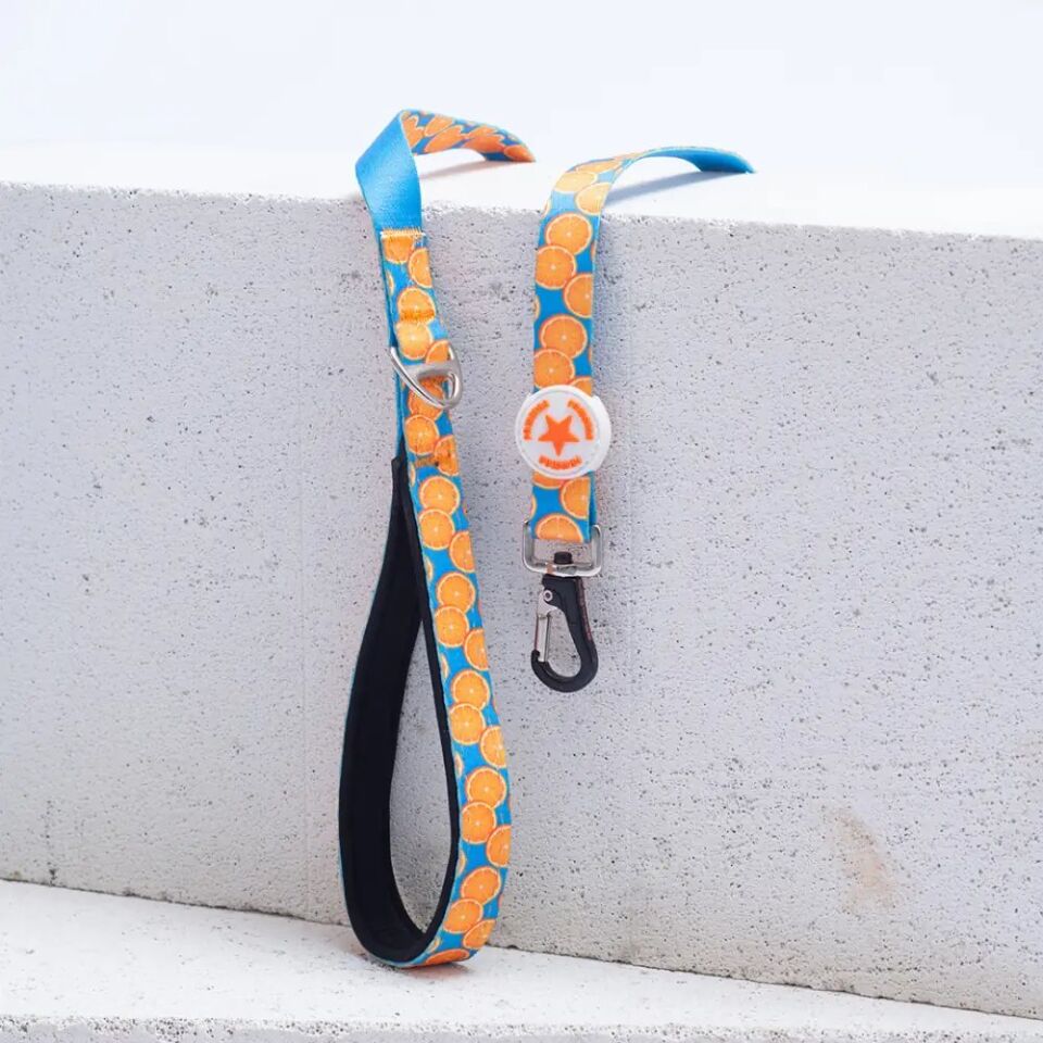 PAWSTAR PORTAKAL DESENLİ GEZDİRME KAYIŞI