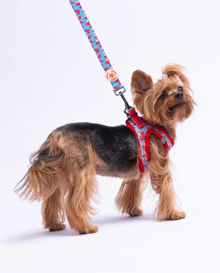 PAWSTAR MANTAR DESENLİ GEZDİRME KAYIŞI