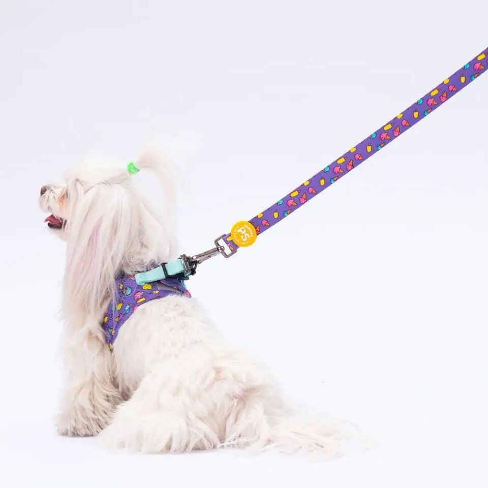 PAWSTAR ICE-CREAM DESENLİ GEZDİRME KAYIŞI