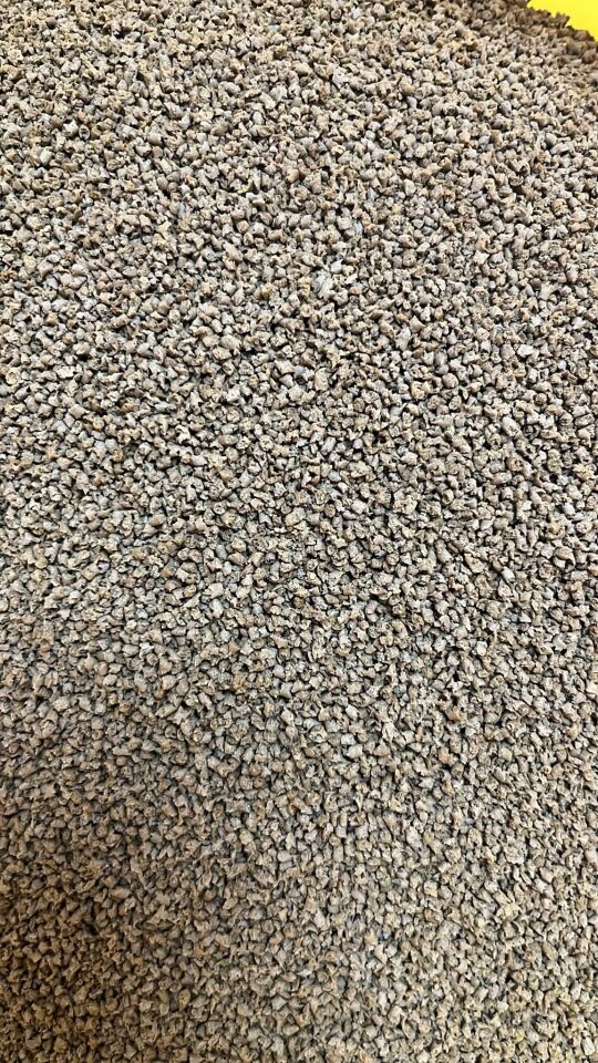 SERA DİSCUS COLOR 50 GR AÇIK BRÜT