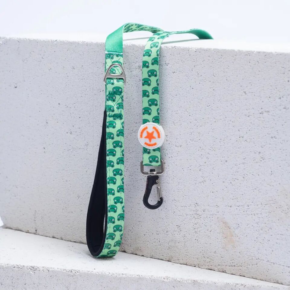 PAWSTAR FROG DESENLİ GEZDİRME KAYIŞI