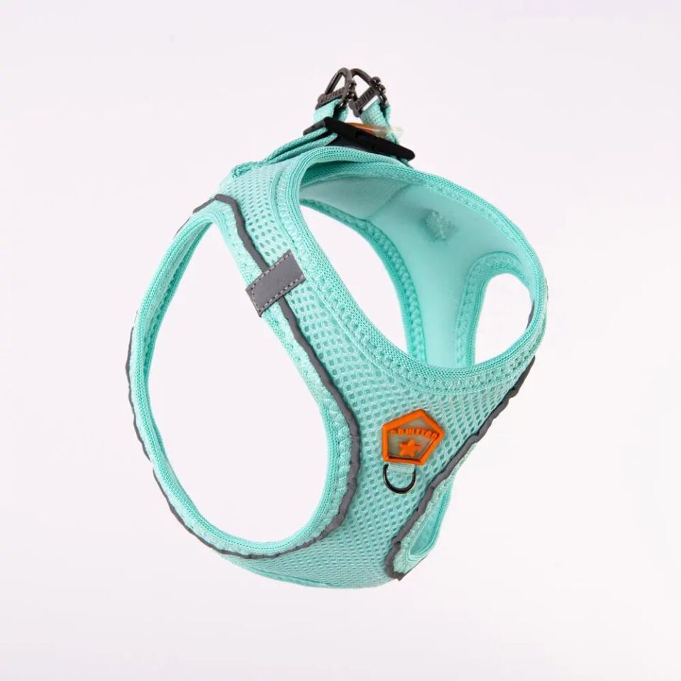 Pawstar Mint Airmesh Köpek Göğüs Tasması XS