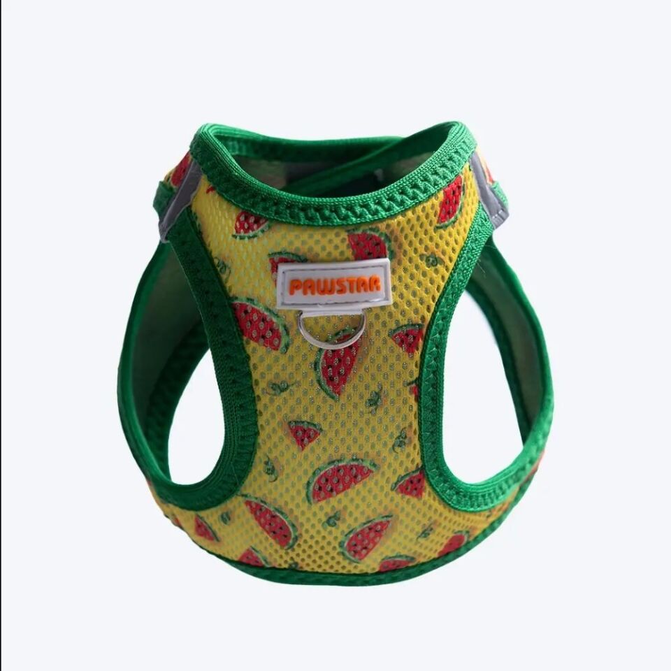 Pawstar Watermelon Airmesh Köpek Göğüs Tasması XS