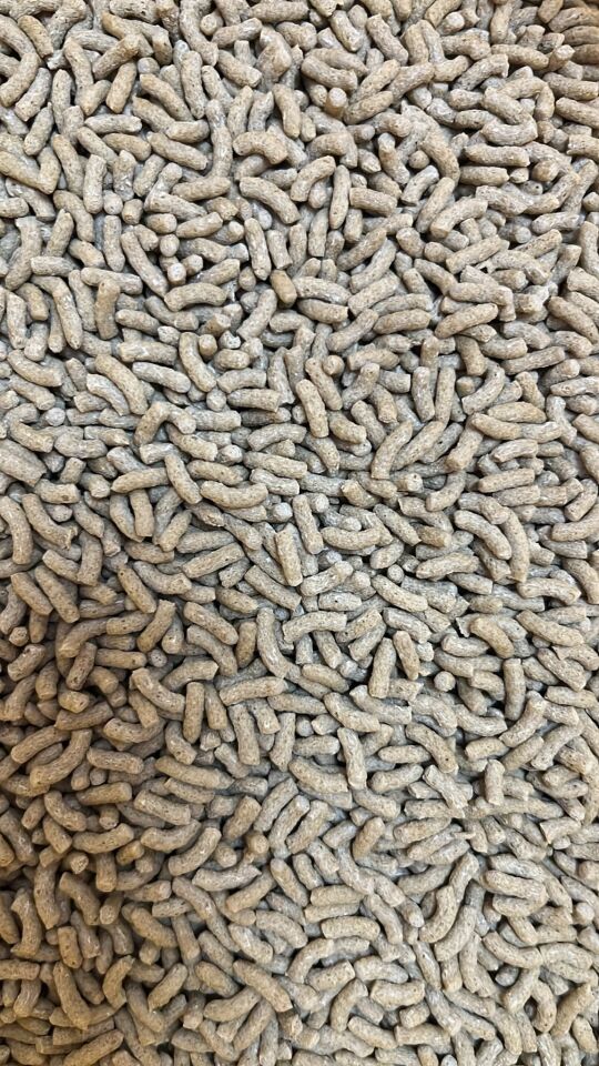 SERA POND GRANULAT NATURE 100 GR AÇIK BRÜT