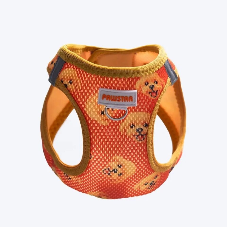 Pawstar Poodle Airmesh Köpek Tasması XS