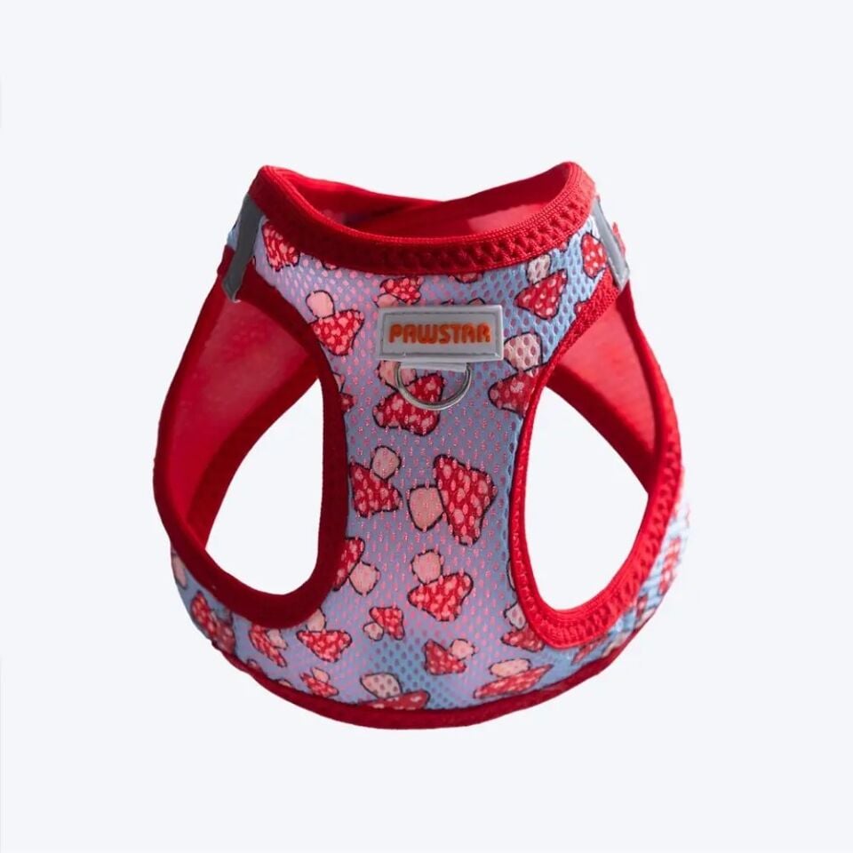Pawstar Mushroom Airmesh Köpek Göğüs Tasması XS