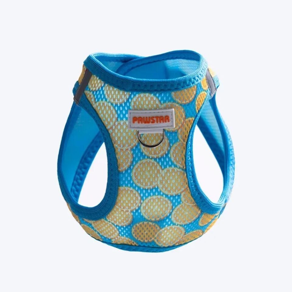 Pawstar Citrus Airmesh Köpek Göğüs Tasması XS