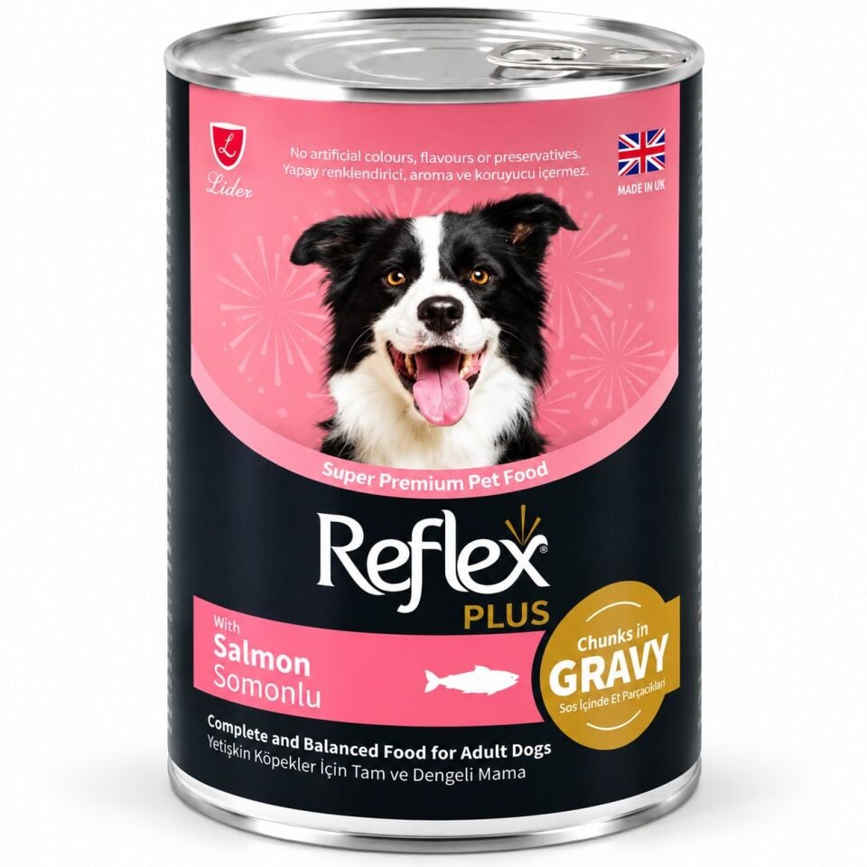 REFLEX PLUS SOS İÇİNDE ET PARÇACIKLI SOMONLU YETİŞKİN KÖPEK MAMASI 400 G