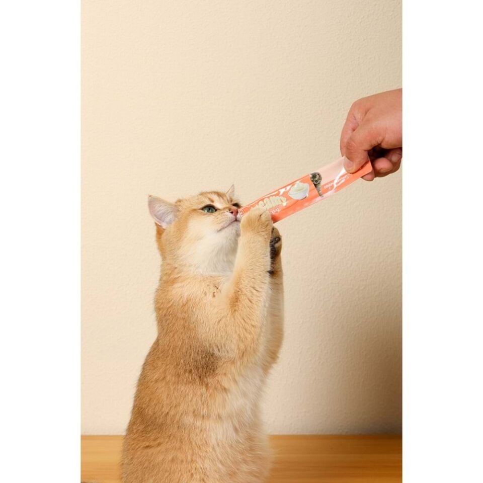 M-PETS CREAMY SOMONLU KEDİ ÖDÜLÜ 60 GR