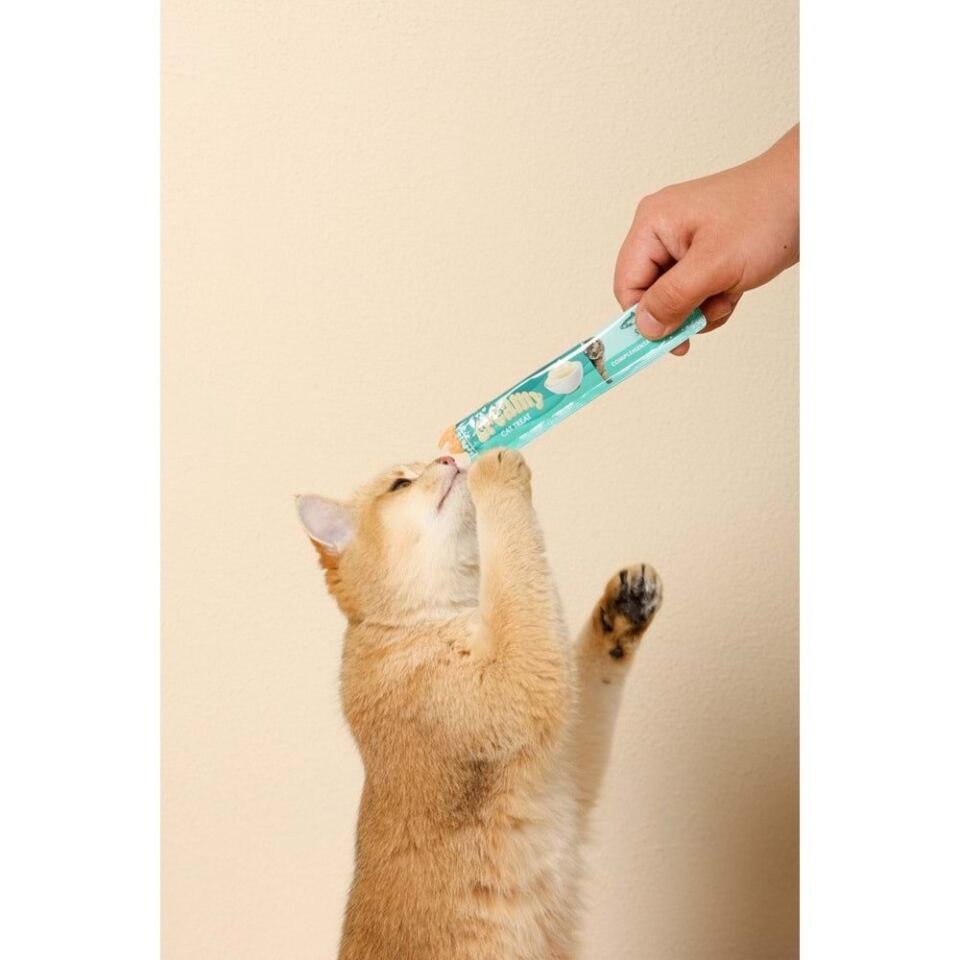 M-PETS CREAMY SOMON BALIKLI BİFTEKLİ KEDİ ÖDÜLÜ 60GR