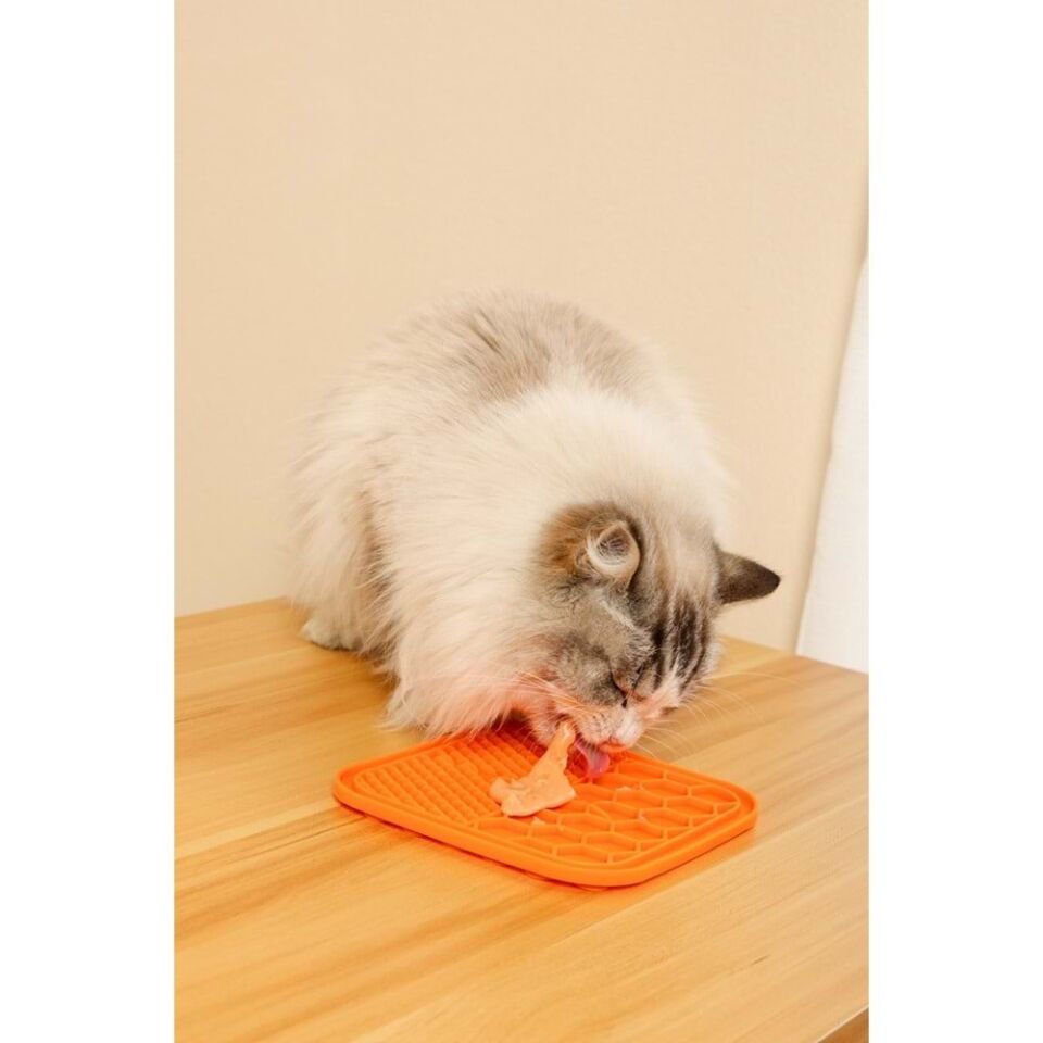 M-PETS CREAMY TON BALIKLI KARİDESLİ KEDİ ÖDÜLÜ 60 GR
