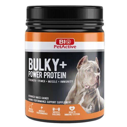BIO PETACTİVE BULKY POWER PROTEİN 368GR