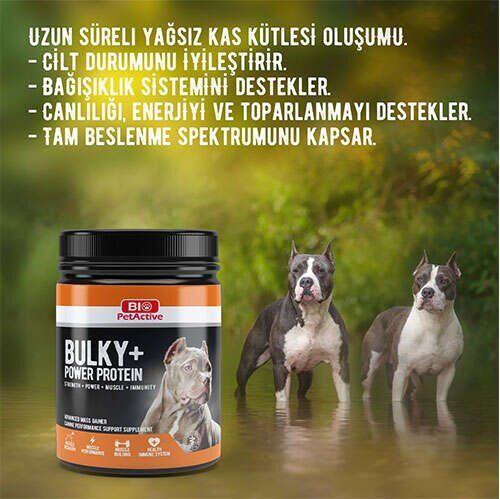 BIO PETACTİVE BULKY POWER PROTEİN 368GR