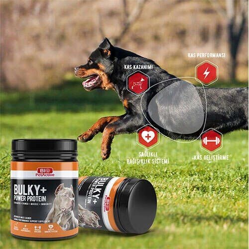 BIO PETACTİVE BULKY POWER PROTEİN 368GR