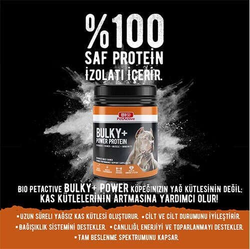 BIO PETACTİVE BULKY POWER PROTEİN 368GR