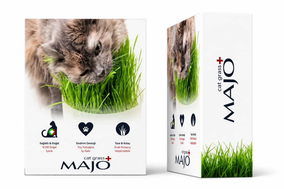 Majo Cat Grass Kedi Çimi