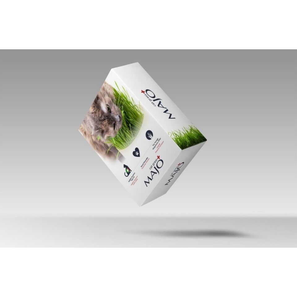 Majo Cat Grass Kedi Çimi