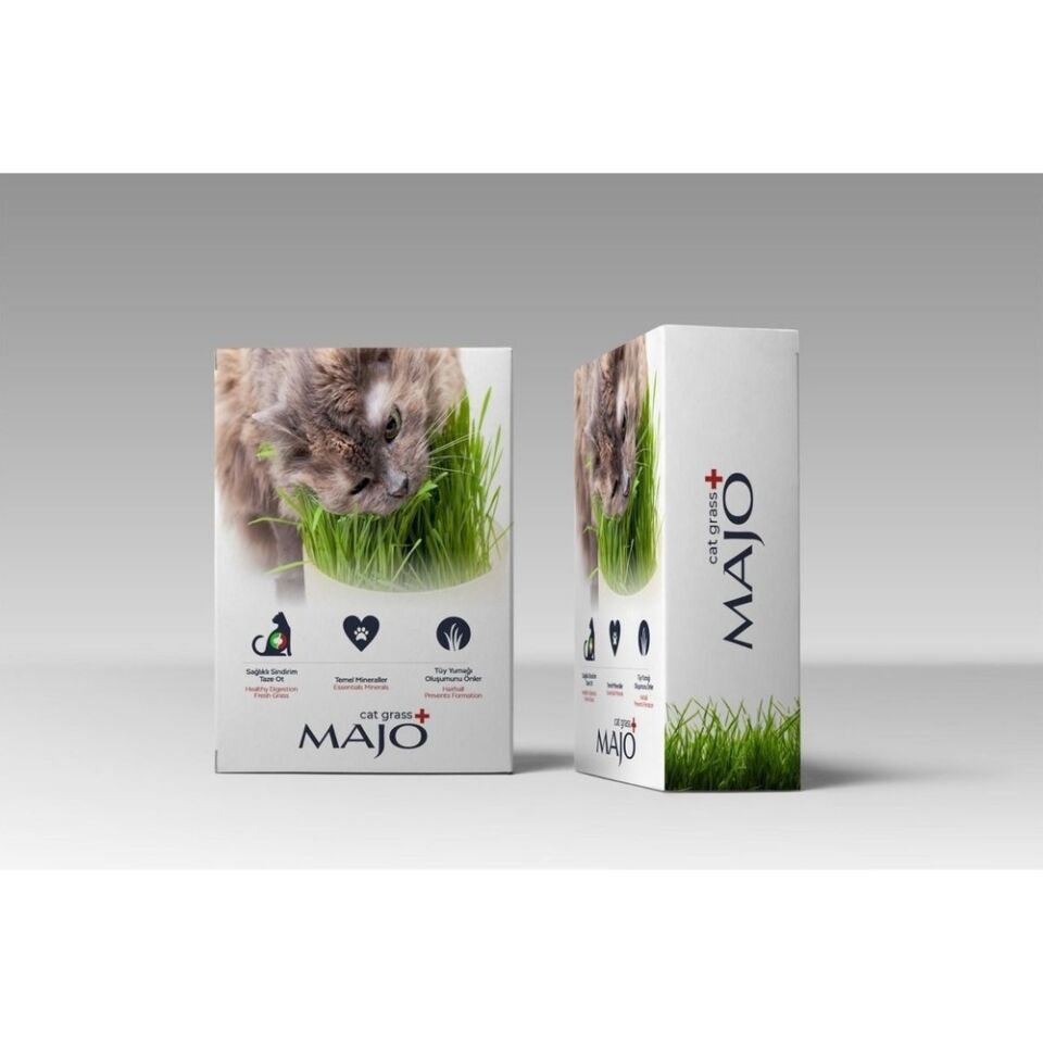 Majo Cat Grass Kedi Çimi