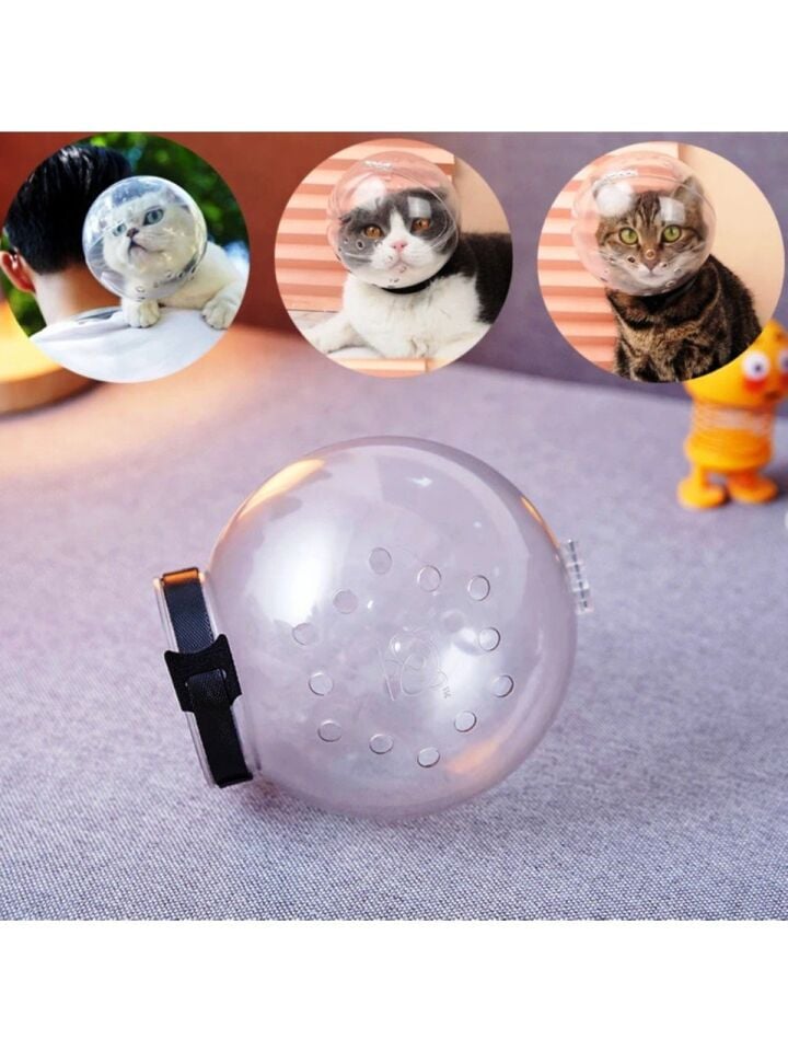 Kedi Bakım Küresi ( Yalama Ve Isırma Için Muhteşem Çözüm )