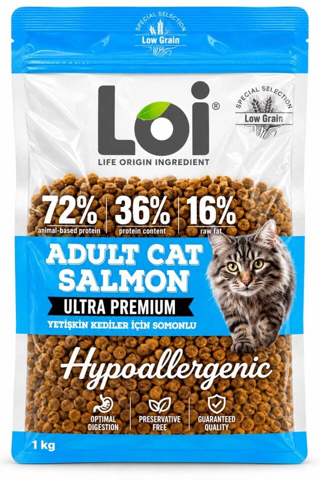 LOI YETİŞKİN KEDİ SOMONLU 1 KG