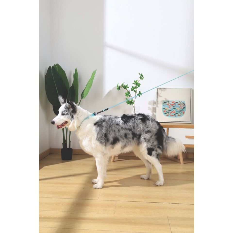 M-PETS GENTLE DOG GEZDİRME KAYIŞI (XS) GREEN