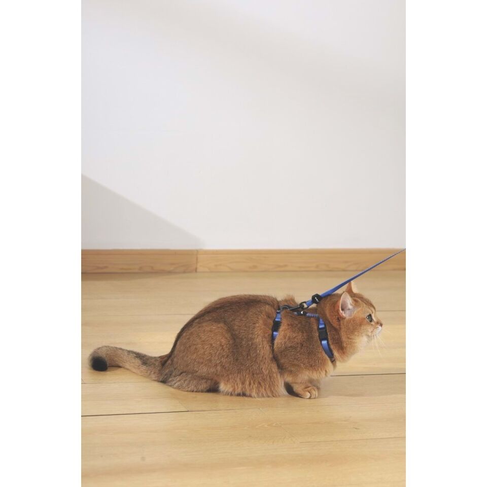 M-PETS GENTLE CAT GÖĞÜS TASMASI ve GEZDİRME SET MAVİ