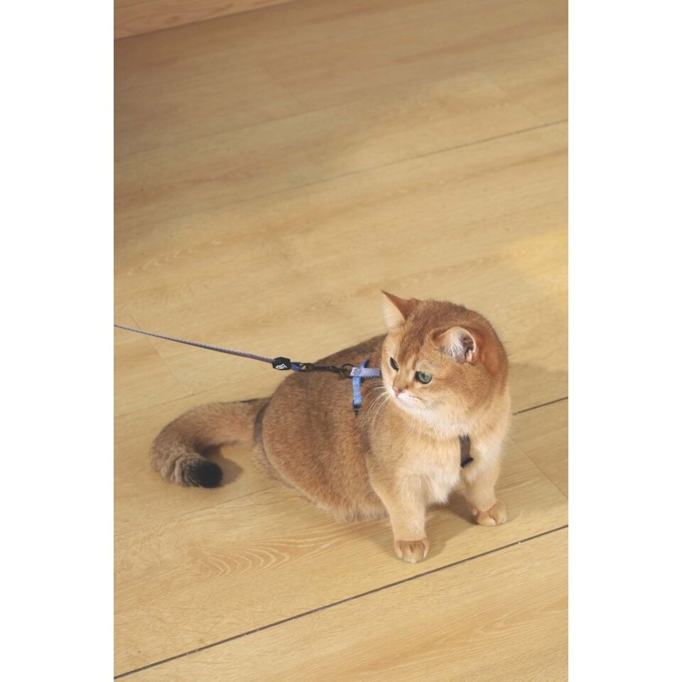 M-PETS GENTLE CAT GÖĞÜS TASMASI ve GEZDİRME SET MAVİ