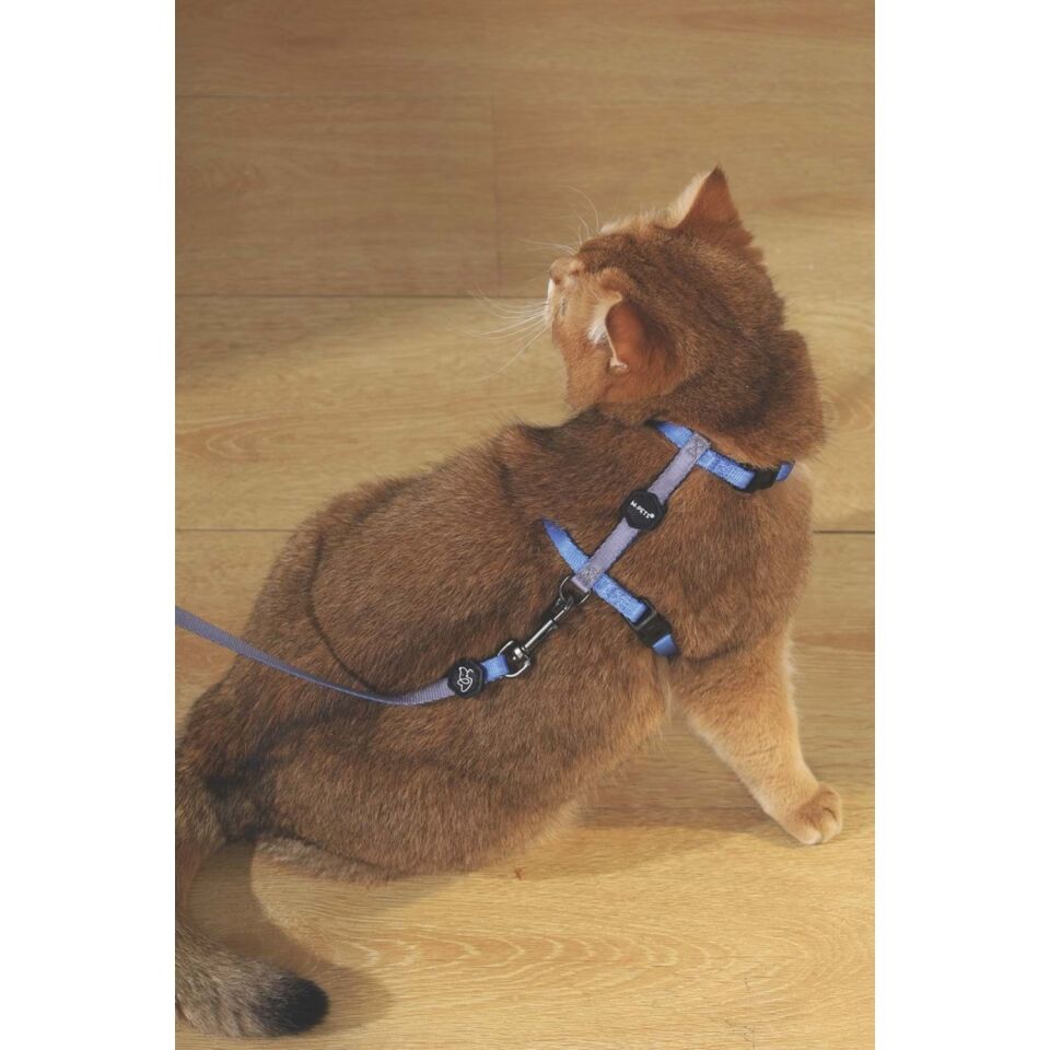 M-PETS GENTLE CAT GÖĞÜS TASMASI ve GEZDİRME SET MAVİ