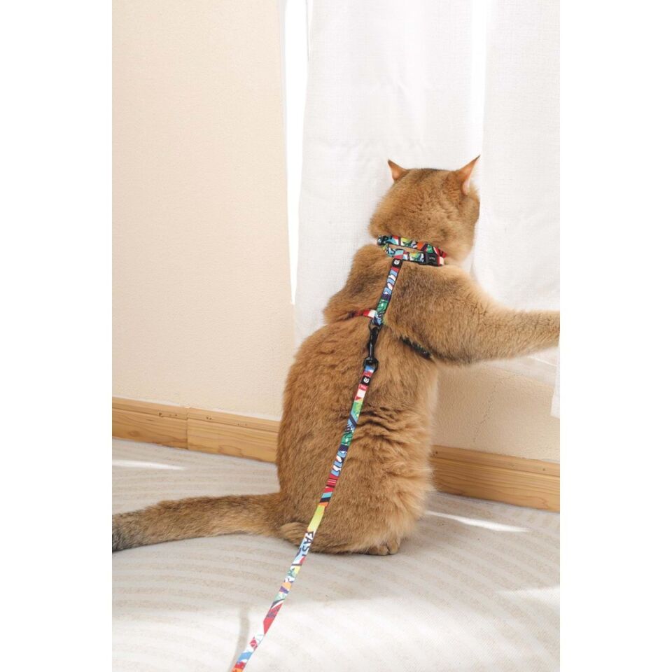M-PETS URBAN STYLE FREESTYLE KEDİ GÖĞÜS TASMASI SET