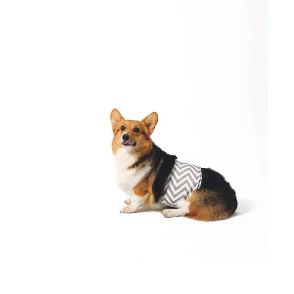 M-PETS ERKEK KÖPEKLER İÇİN YIKANABİLİR KÜLOT (XXL)