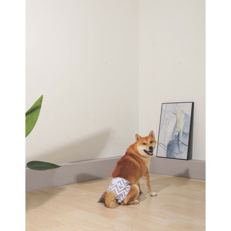 M-PETS DİŞİ KÖPEKLER İÇİN YIKANABİLİR KÜLOT (XL)