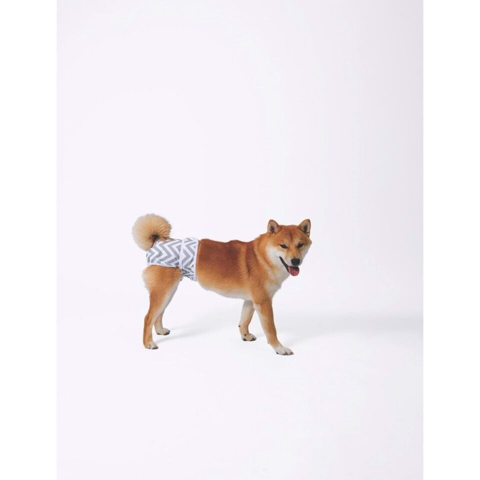 M-PETS DİŞİ KÖPEKLER İÇİN YIKANABİLİR KÜLOT (XL)