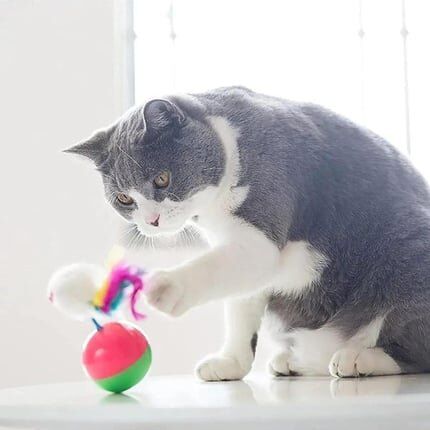 NUNBELL KEDİ OYUNCAK HACI YATMAZ FARE