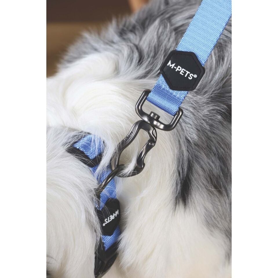 M-PETS GENTLE DOG GEZDİRME KAYIŞI (XS) BLUE