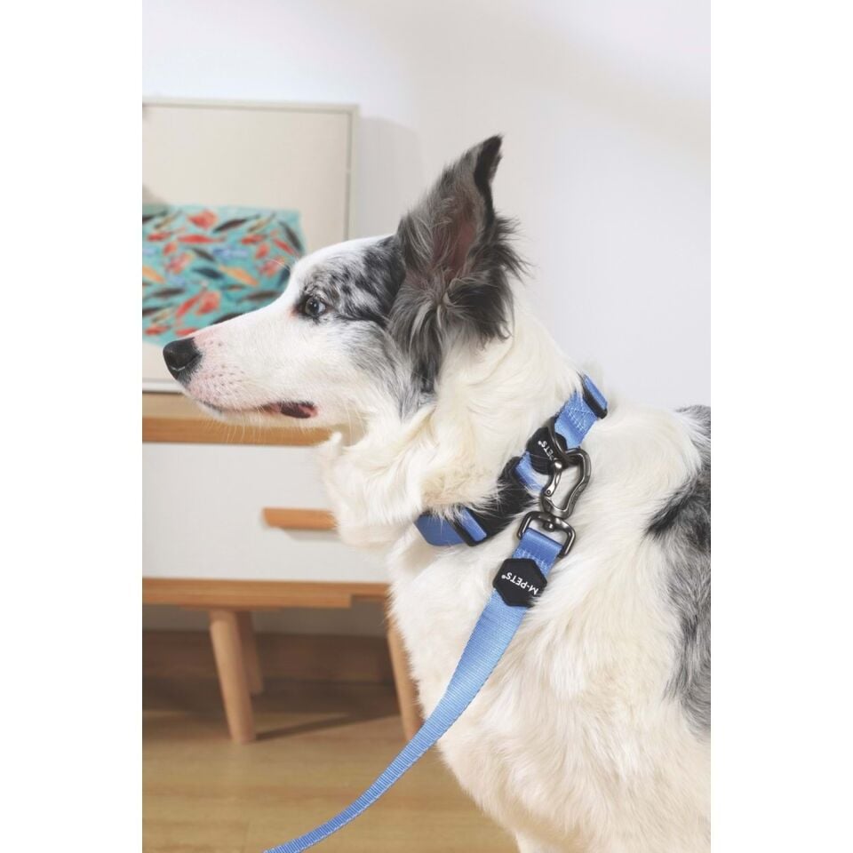 M-PETS GENTLE DOG GEZDİRME KAYIŞI (XS) BLUE