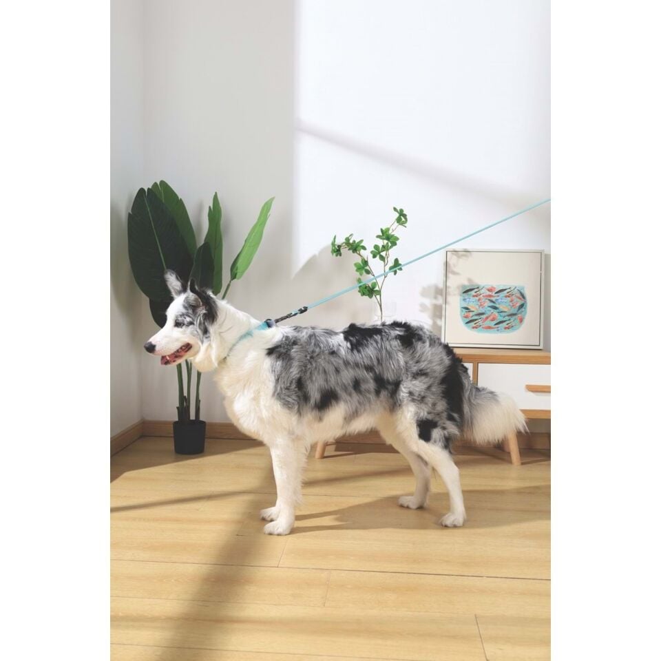 M-PETS GENTLE DOG GEZDİRME KAYIŞI (XS) GREEN