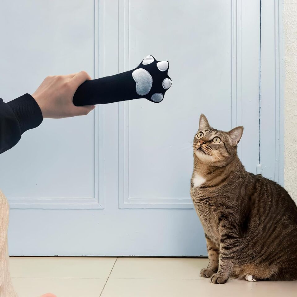 ANDİKER KEDİ OYUNCAĞI-KEDI PATI