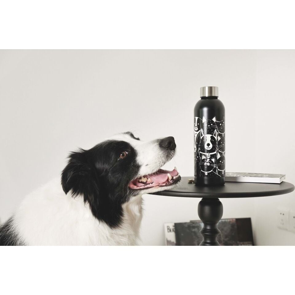 M-PETS PETJOY PURRFECT PETFAMİLY TERMOS 500ML SİYAH&BEYAZ