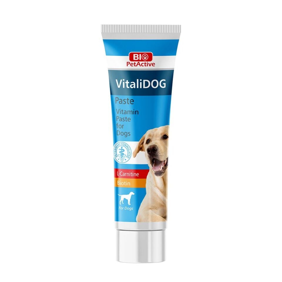BİOPET ACTİVE VITALIDOG PASTE (VİTAMİN PASTA)