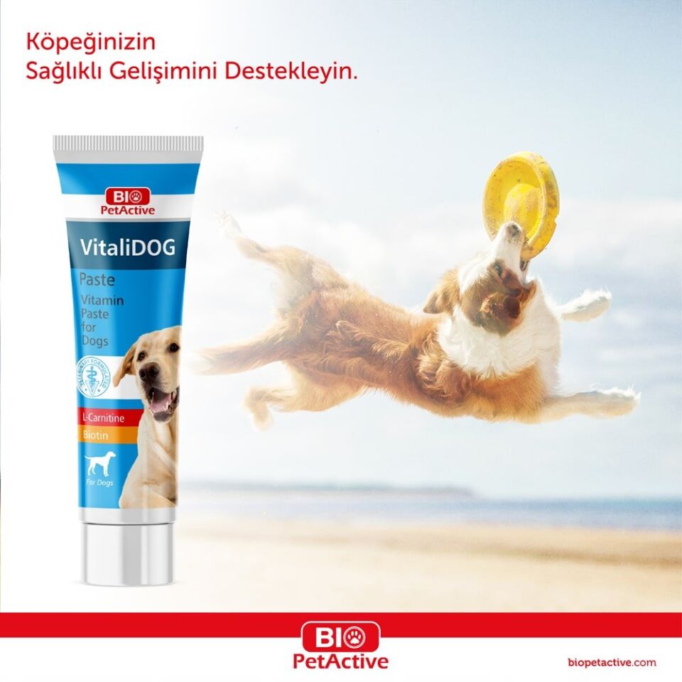 BİOPET ACTİVE VITALIDOG PASTE (VİTAMİN PASTA)