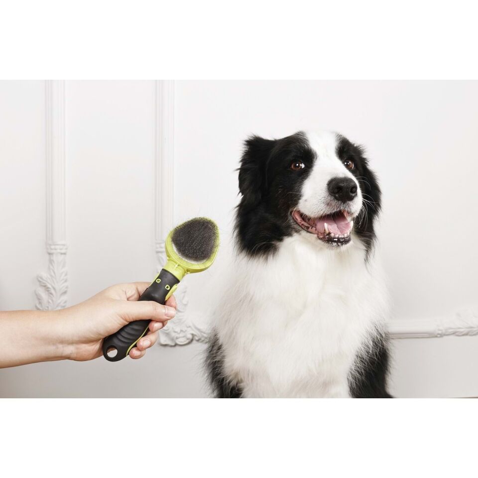 60107099 M-PETS CLICK AND GROOM KEDİ ve KÖPEK İNCE TELLİ FIRÇA
