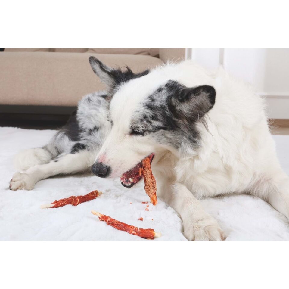 M-PETS BITE DELIGHT SALMON WİTH CODFİSH WRAP 13CM KÖPEK ÖDÜLÜ 2KG