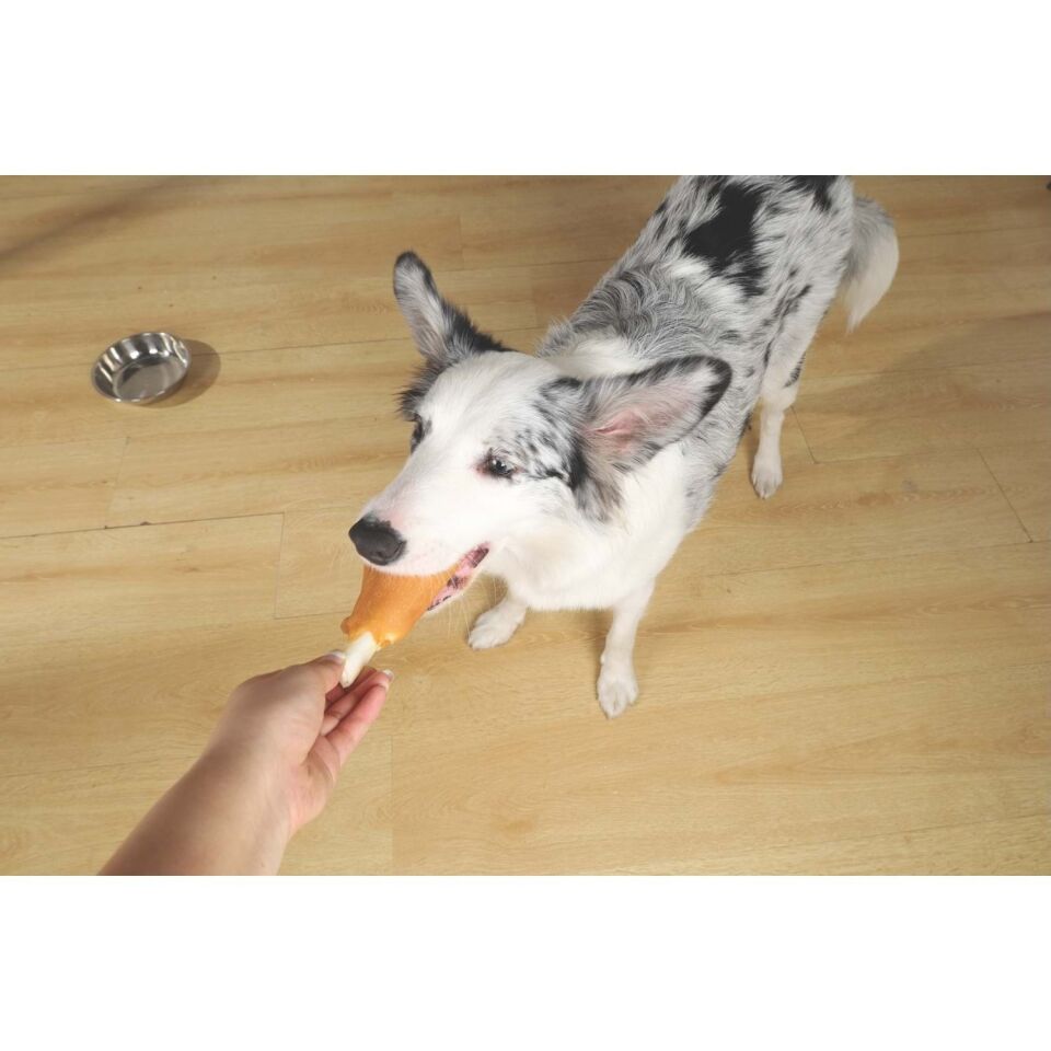 M-PETS BITE DELIGHT CHICKEN LEG 13CM KÖPEK ÖDÜLÜ 2KG